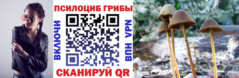 Галлюциногенные грибы Cubensis  Купить  Володарск 